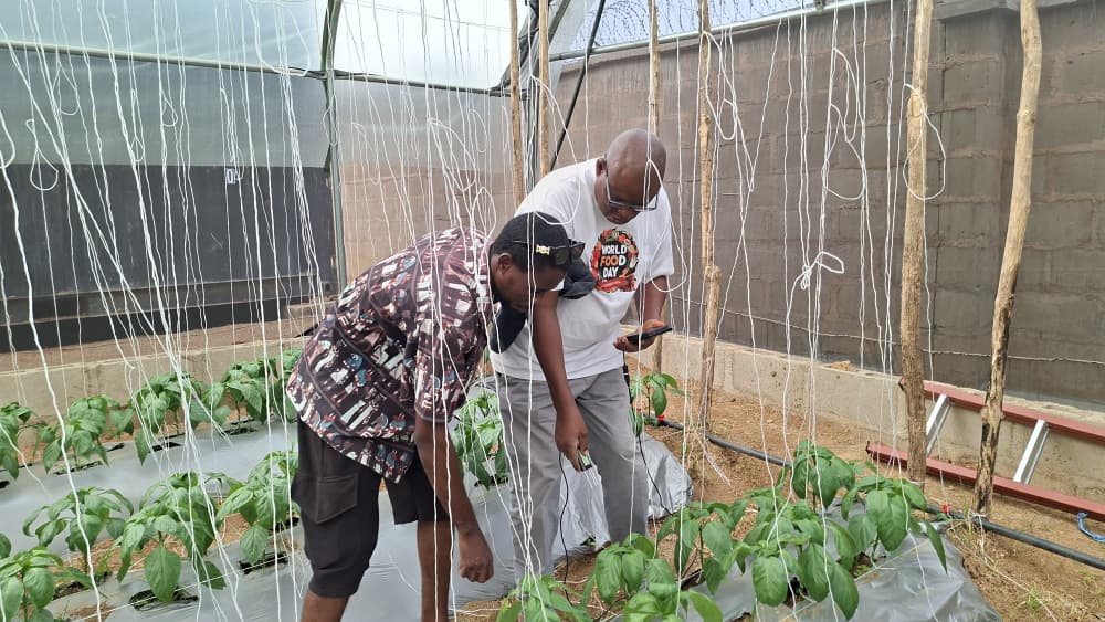 Inside Our Greenhouses: What the Soil Is Telling Us